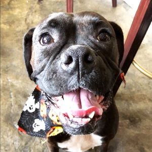 Meet your Posher, Jamie